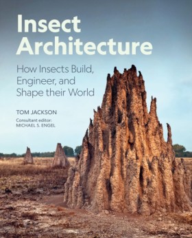 Insect Arc &hellip;