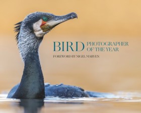 Bird Photo &hellip;