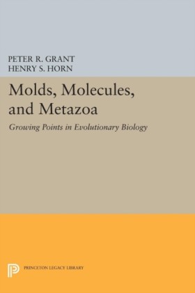 Molds, Mol &hellip;