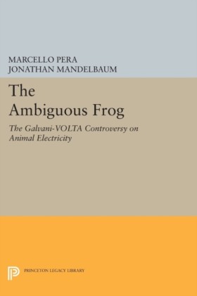The Ambigu …