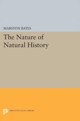 The Nature …