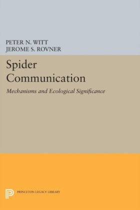 Spider Com &hellip;