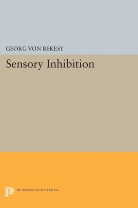 Sensory In …