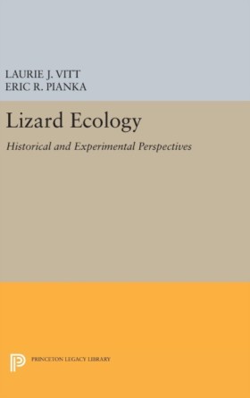 Lizard Eco &hellip;