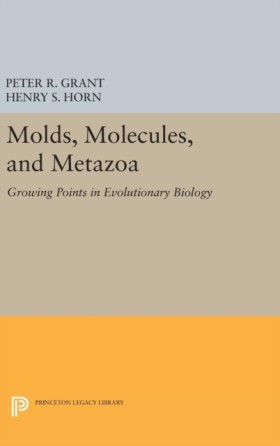 Molds, Mol …