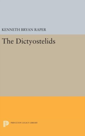 The Dictyo &hellip;