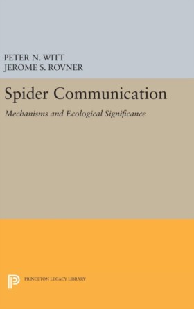 Spider Com &hellip;