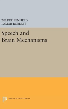 Speech and …