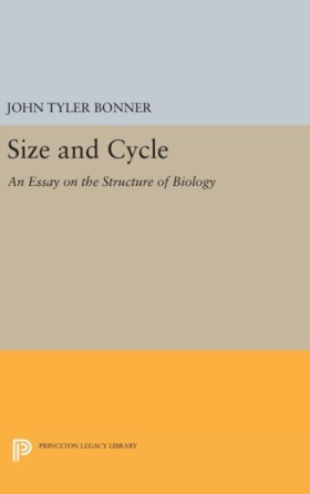Size and C …