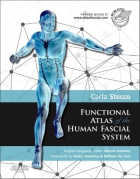 Functional &hellip;