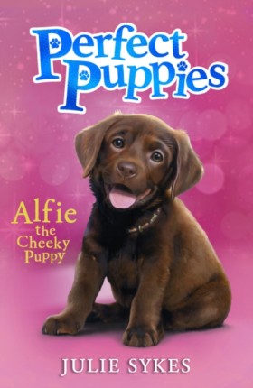 Perfect Pu &hellip;