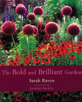 The Bold a &hellip;