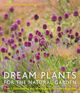Dream Plan &hellip;
