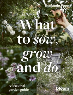 What to So &hellip;