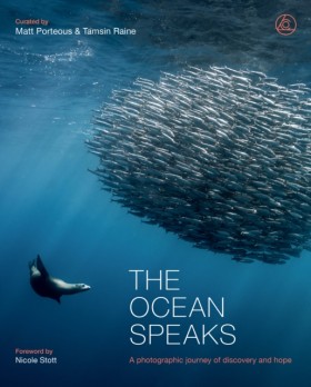The Ocean …