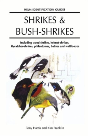 Shrikes an &hellip;
