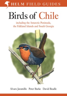 Birds of C &hellip;