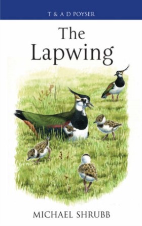 The Lapwin &hellip;