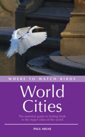 Where to W …