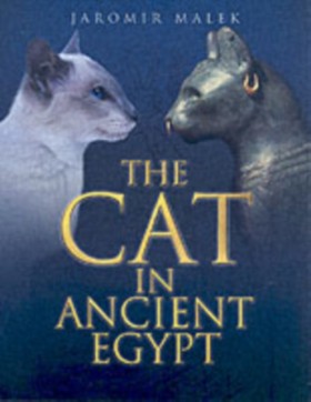 The Cat in &hellip;