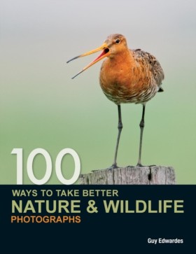 100 Ways t &hellip;