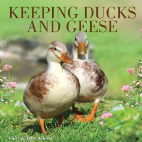 Keeping Du …