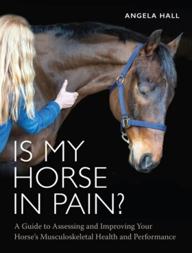 Is My Hors &hellip;