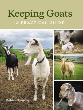 Keeping Go &hellip;
