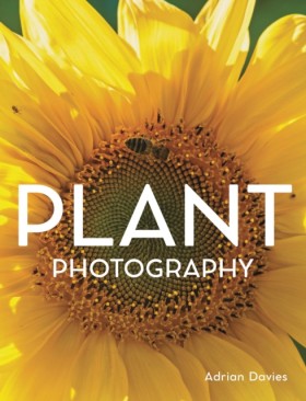 Plant Phot &hellip;