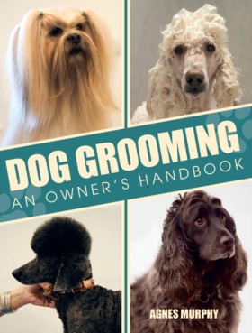 Dog Groomi …