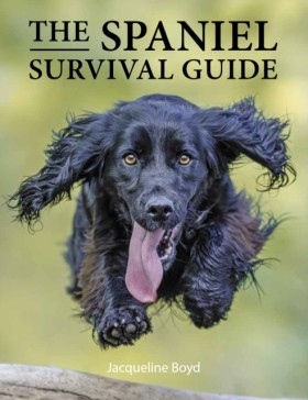 Spaniel Su &hellip;