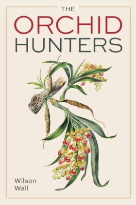 Orchid Hun &hellip;