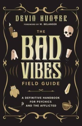 The Bad Vi &hellip;