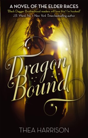 Dragon Bou …