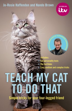 Teach My C &hellip;