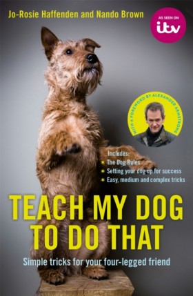 Teach My D &hellip;