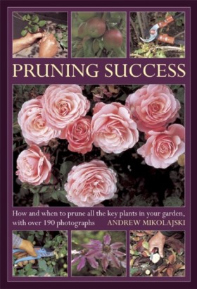 Pruning Su …