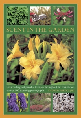 Scent in t &hellip;
