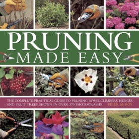 Pruning Ma …