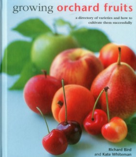 Growing Or …