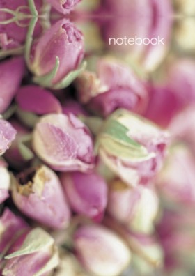 Notebook: &hellip;