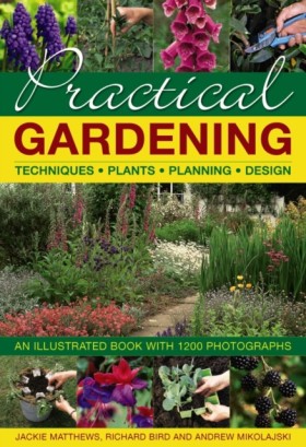 Practical &hellip;