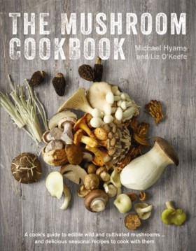 Mushroom C &hellip;