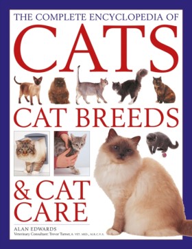 The Cats, …