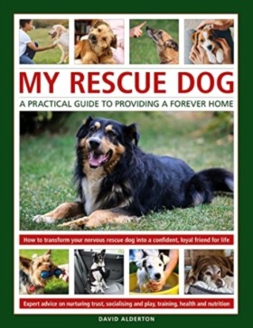 My Rescue …