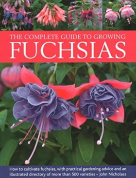 Fuchsias, …