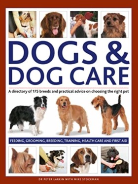 Dogs & Dog …