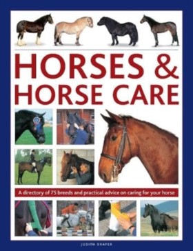Horses & H …