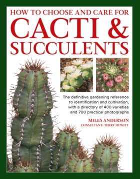 Cacti & Su …