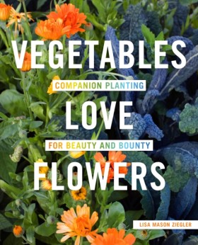 Vegetables …
